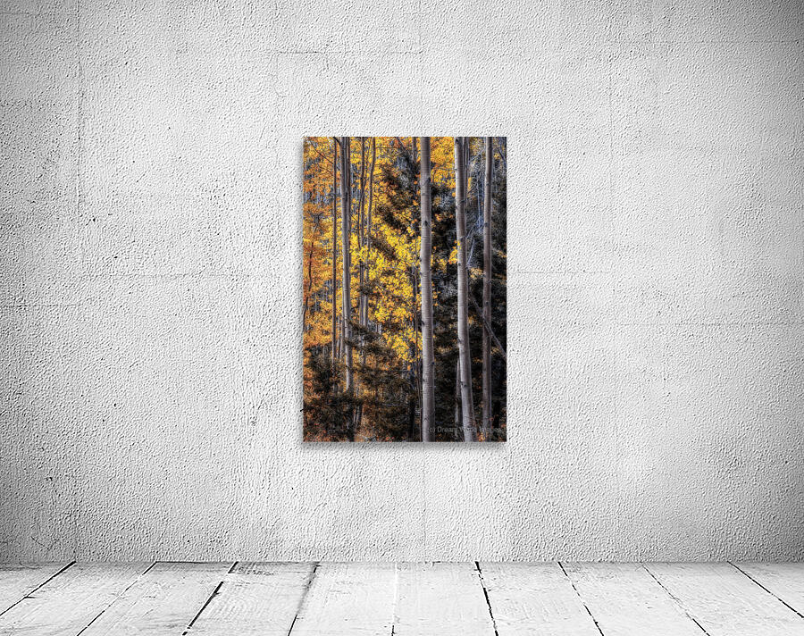 Warmth Amidst the Shadows Wall Preview