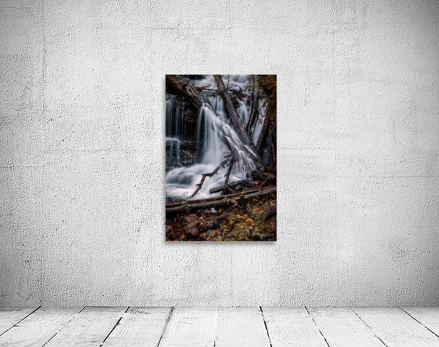 Liquid Light Through Natures Framework Wall Preview