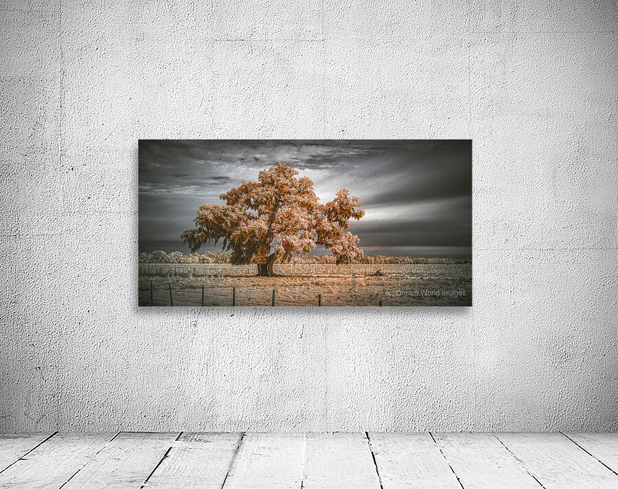 Guardian of the Bayou Country Wall Preview