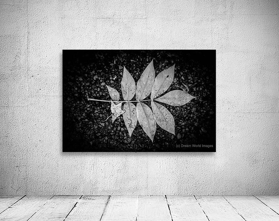 Natures Blueprint Wall Preview