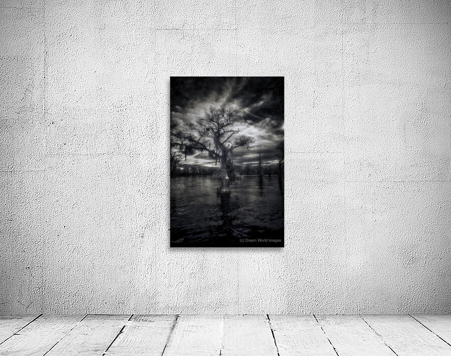 Oracle of the Flooded Forest Wall Preview