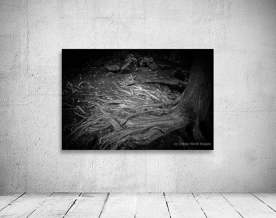 Sculptures of Time and Tide Wall Preview