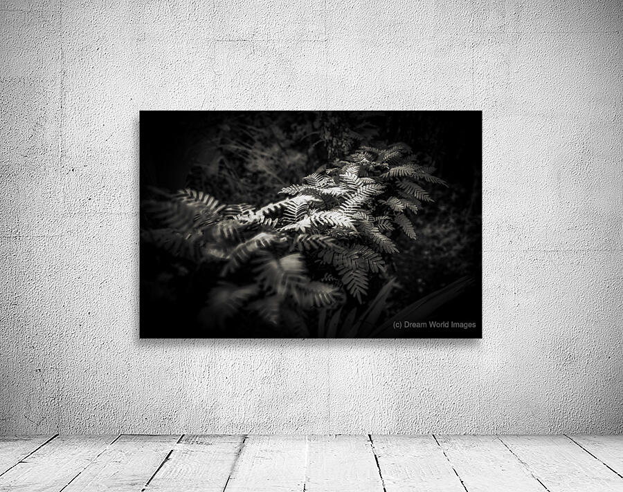 Ethereal Ferns: Whispers Beneath the Canopy Wall Preview