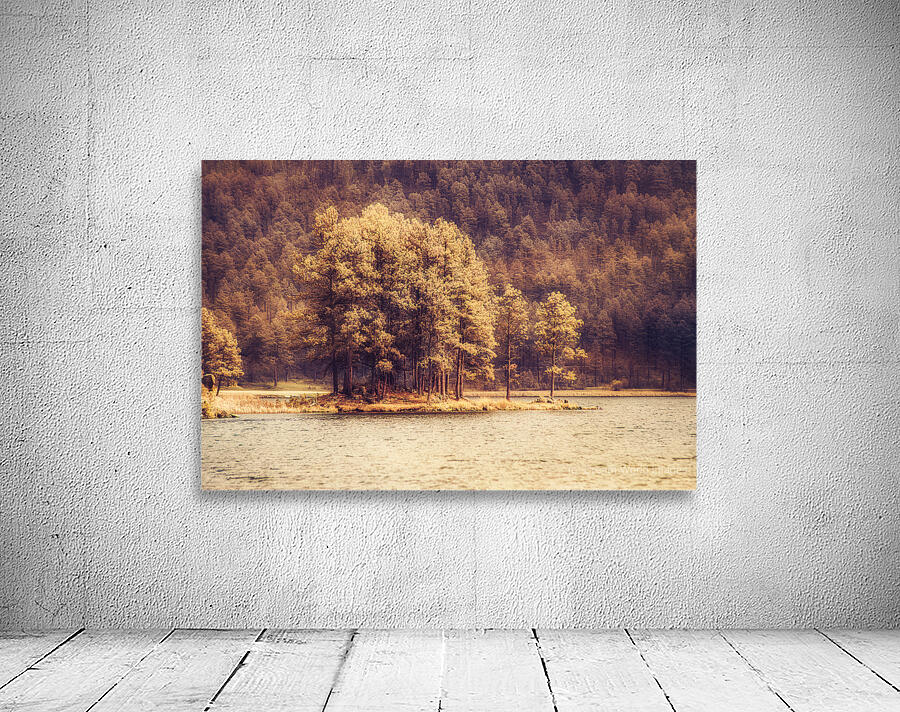 Stockade Lake Tree Island Hazy Wall Preview