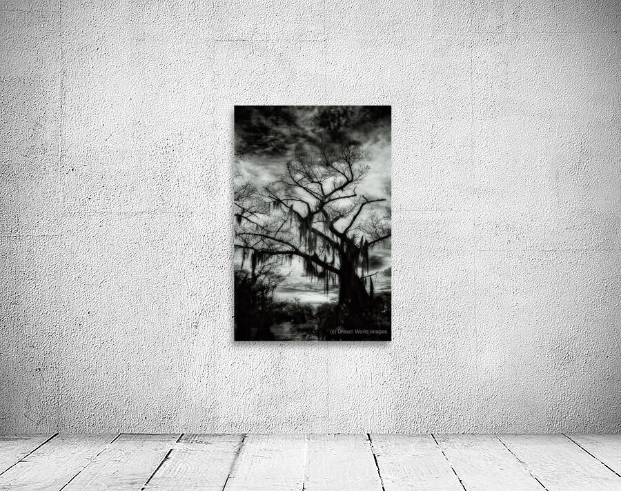 The Watcher Wall Preview