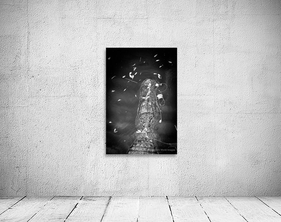 Stillness with Teeth Wall Preview