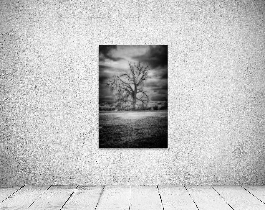 Sentinel of Solitude: Capturing Fort Laramies Majestic Lone Tree Wall Preview