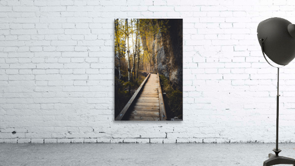 Wooden Trail Serenity: Capturing the Enchanting Rain-Kissed Moments at Sylvan Lake South Dakota by Dream World Images