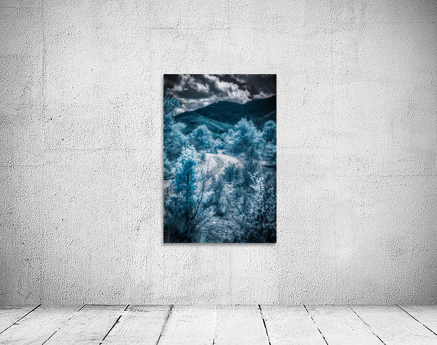 A Majestic Blue Mountain Journey in Colorado Springs Wall Preview