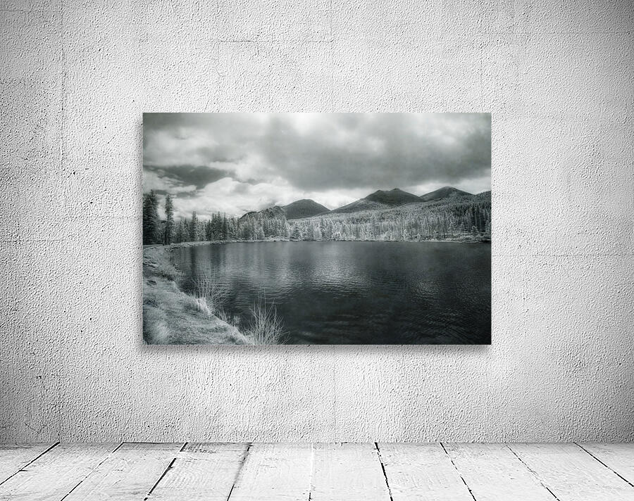 Misty Shores of Solitude: Sprague Lake Wall Preview