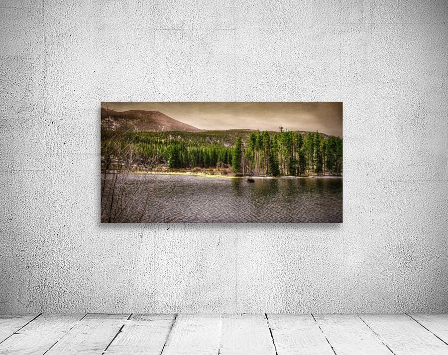 Majestic Moose at Sprague Lake: Sprague Lake Wall Preview