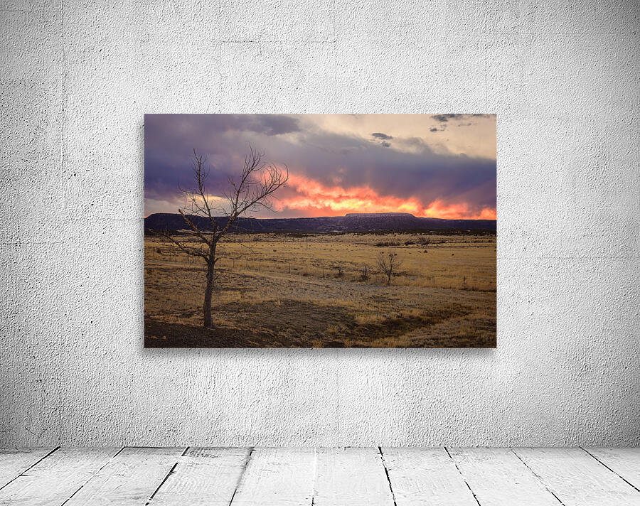 Heavens Blaze: Sunset Symphony in Cold Beer New Mexico Wall Preview