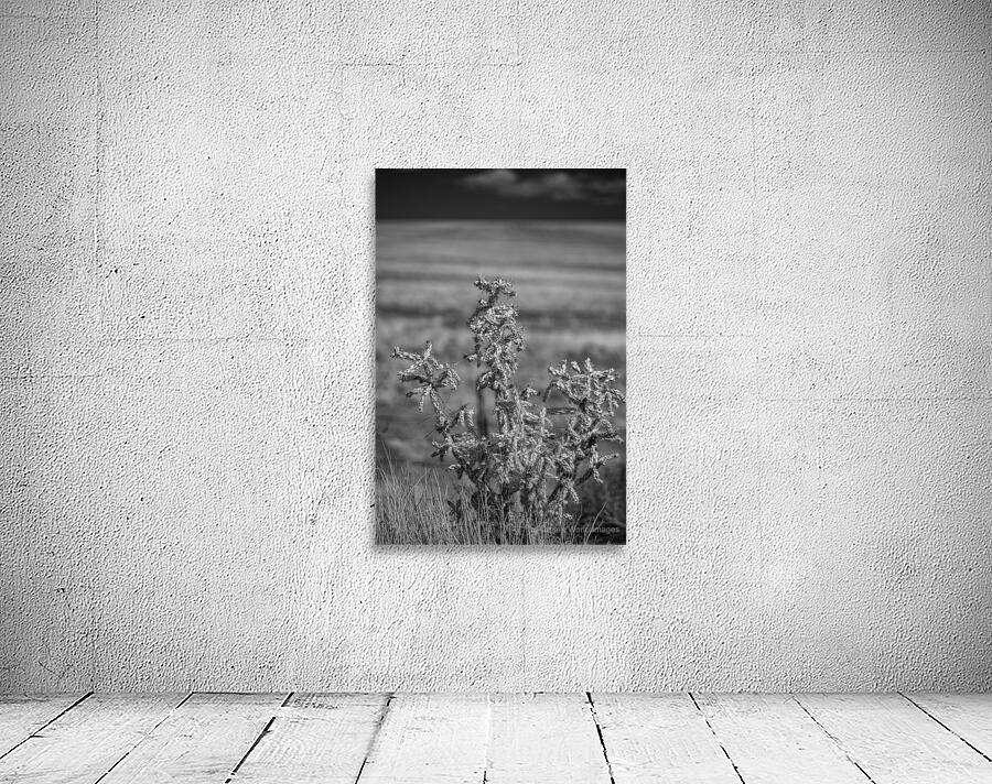 Solitude of Spine Wall Preview