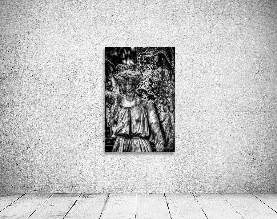 Silent Sorrow: Unveiling the Grieving Guardian at Oak Grove Cemetery Wall Preview