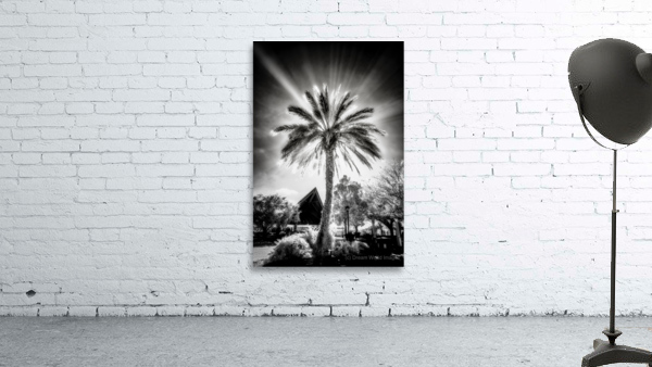 Lighted Palm by Dream World Images