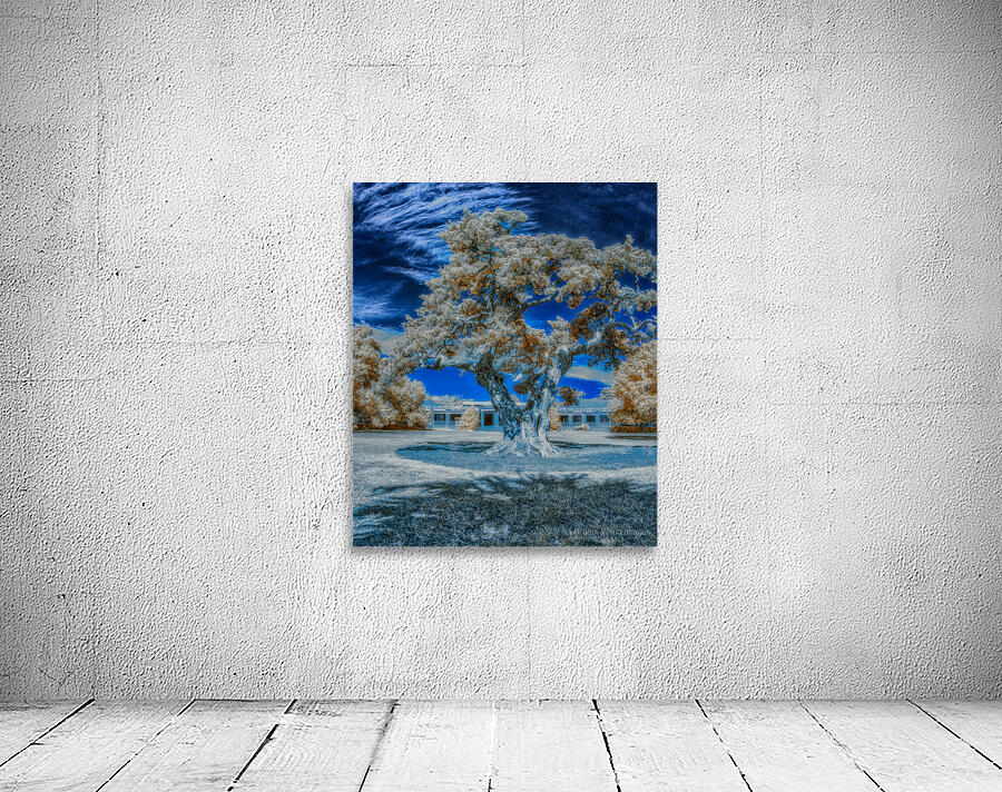 Casino Oak Wall Preview