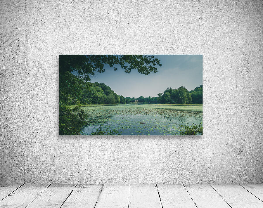 Abbotts Mill Adventure: Exploring Delawares History Wall Preview