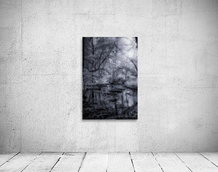 Mystical Reverie: Infrared Wonders of Abbotts Mills Swamp Vista Wall Preview