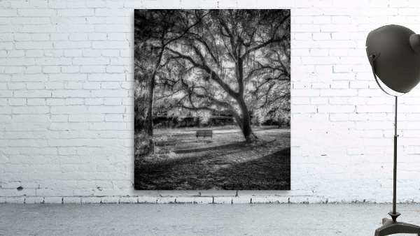 Traceys Tranquil Haven Wall Preview