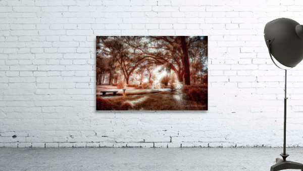 The Bench Wall Preview