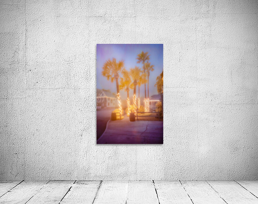 Enchanting Saint Augustine: Palm Trees Aglow with Christmas Magic Wall Preview