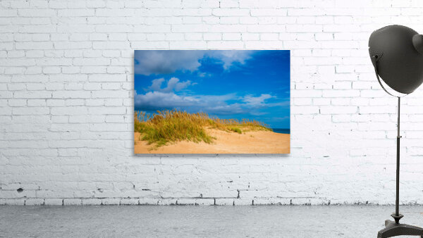 Sand Dune Wall Preview