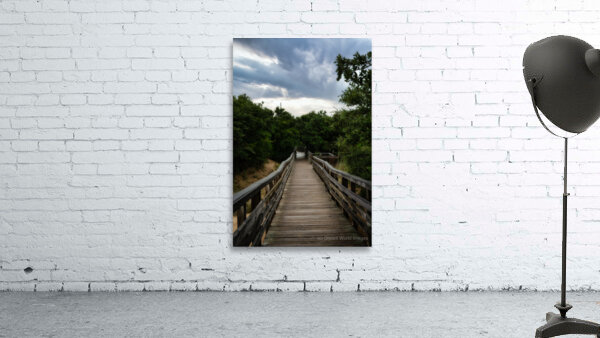 Jockey Ridge Walkway Wall Preview