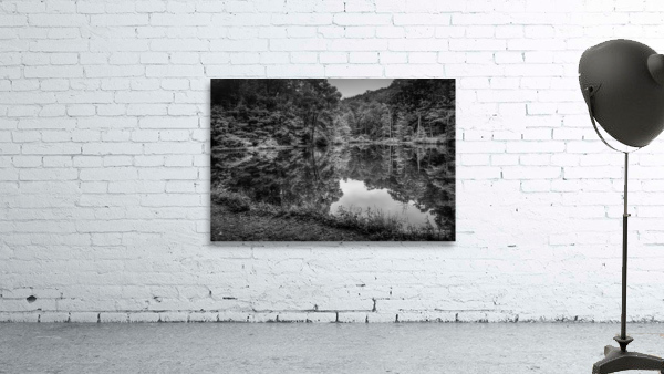 Natures Perfect Mirror Wall Preview