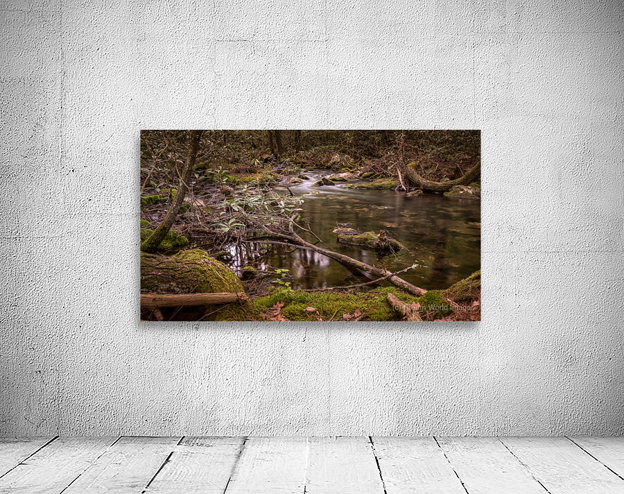 Natures Gentle Arc Wall Preview