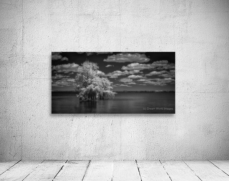 Exploring Serenity: Santee State Parks Cypress Oasis in Stunning Infrared Wall Preview
