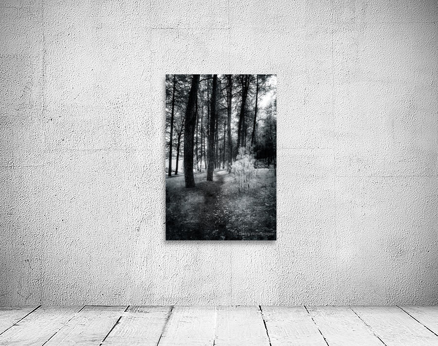 Wandering Through Wonderland: A Mystical Path Along Center Lakes Shores Wall Preview