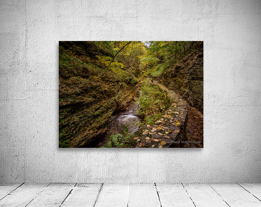 Autumn In the Gorge Wall Preview