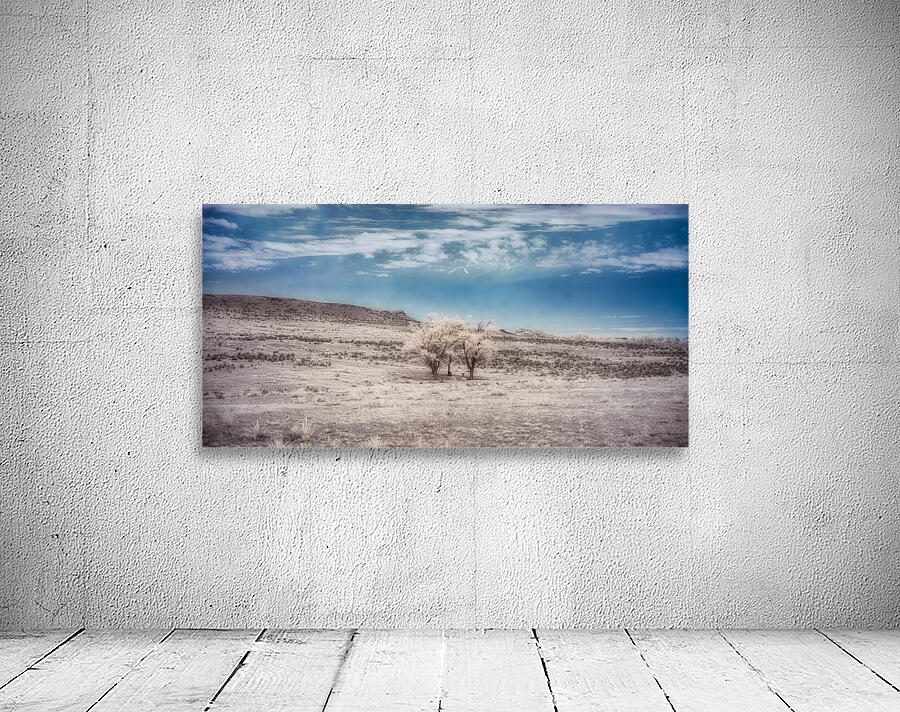 A Rainy Night Turns Bright: Exploring Shamrock Texas Ranch Wall Preview