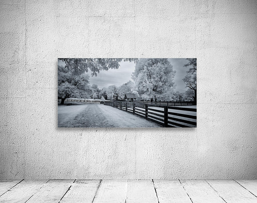 Whispers of Time: A Weathered Road Along Appomattox Courthouse Towns Fences Wall Preview