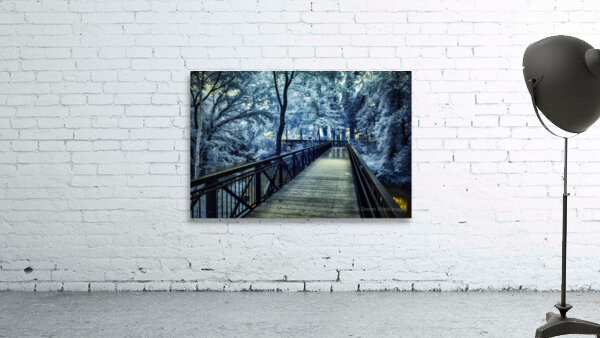 Journeys Through Lynchburg: Exploring Jack Daniels and Beyond Wall Preview