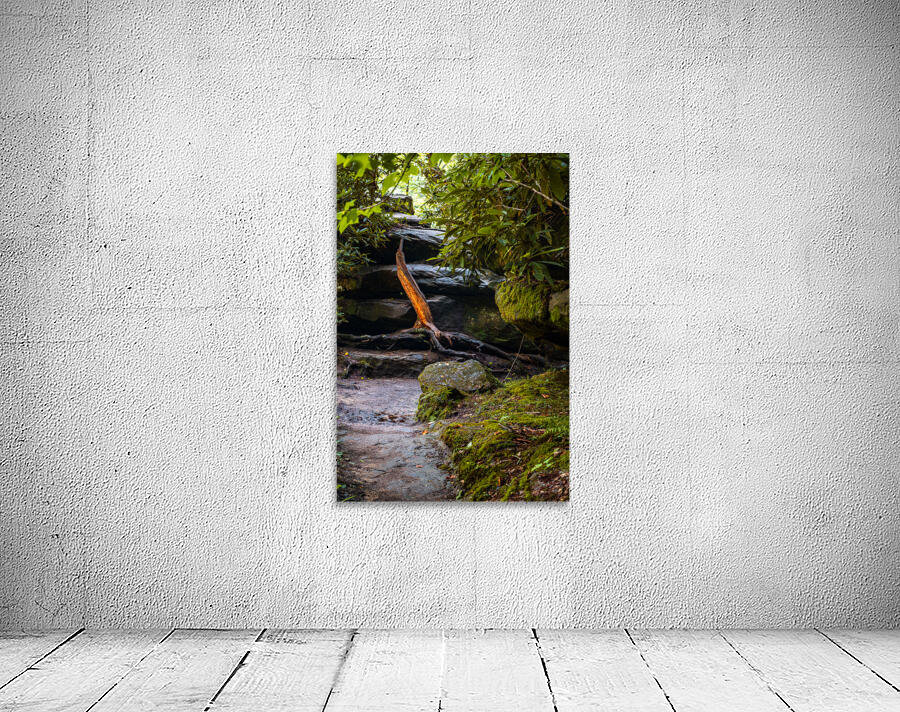 Fiery Stump Wall Preview