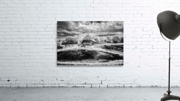 Ethereal Oasis: A Day at Bodega Winery Wall Preview