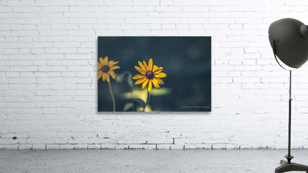 Vibrant Blooms: Full Spectrum Photography of Black-Eyed Susan Flowers in Tennessee Wall Preview