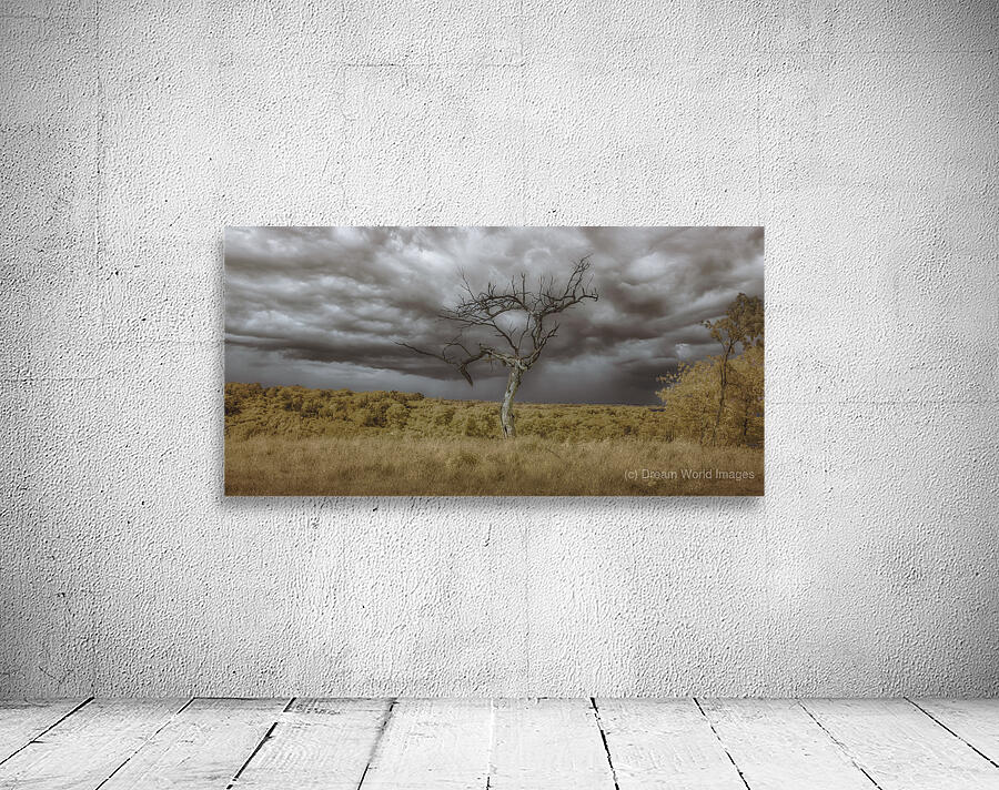 Barren Sentinel Amidst Storms Embrace Wall Preview