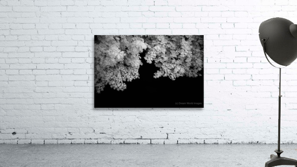 Lost in Tonal Serenity Wall Preview