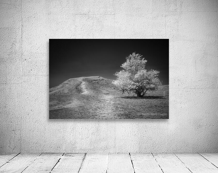 Silent Beauty: Navigating the Badlands Wall Preview