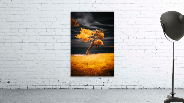 Golden Guardian: A Mystical Tree on Sunshine Key Wall Preview