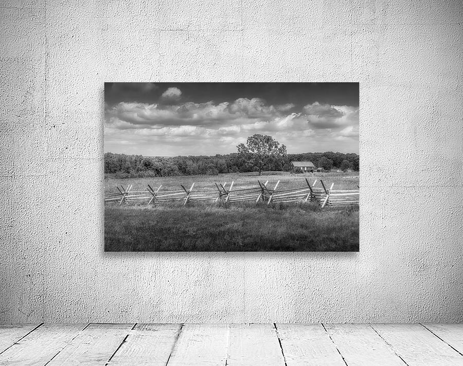 Solitude Unveiled: Whispers of the Countryside Wall Preview