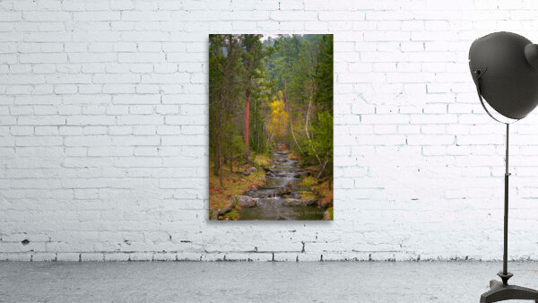 Autumnal Glow: Exploring Grace Coolidge Creeks Vibrant Palette  by Dream World Images