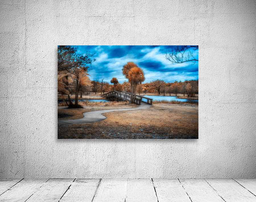 Mystical Tranquility: A Walk through Venetian Gardens in Leesburg Wall Preview