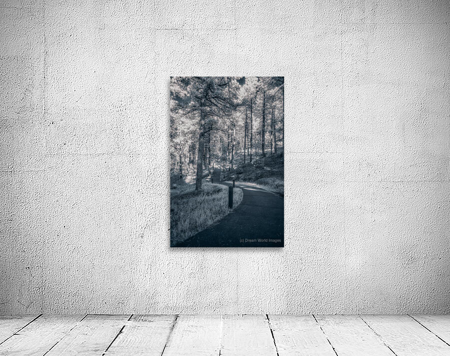 Mount Rushmore: Path Below the Monument in Infrared Magic Wall Preview