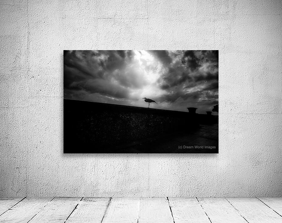 Rainy Day Stroll: Capturing Serenity with a Silhouetted Bird Wall Preview