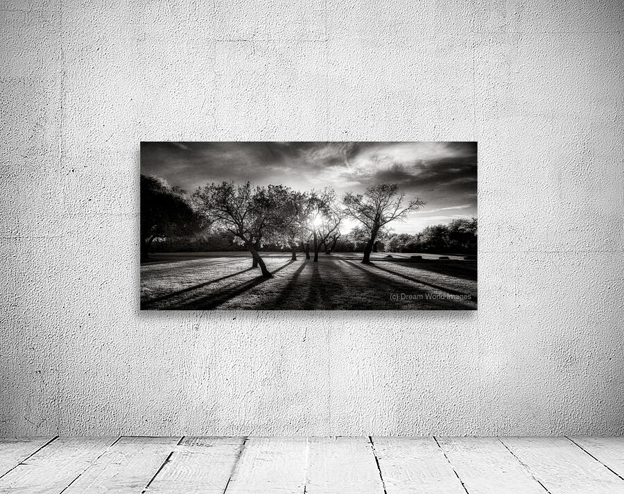 Twilight Stroll: Capturing Long Texas Shadows Wall Preview