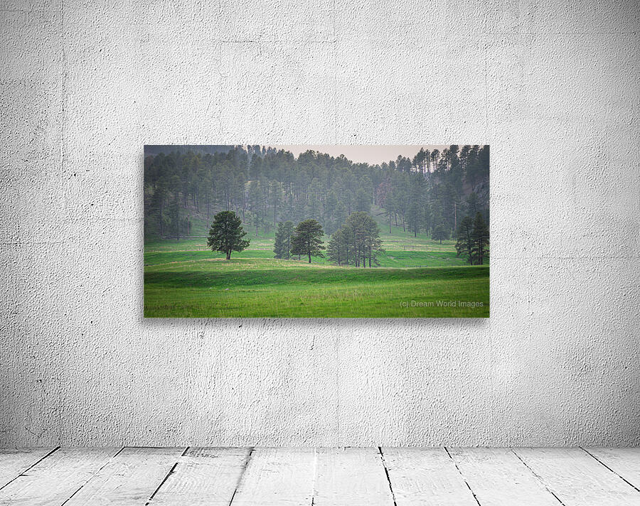 Serene Countryside Dreams Wall Preview