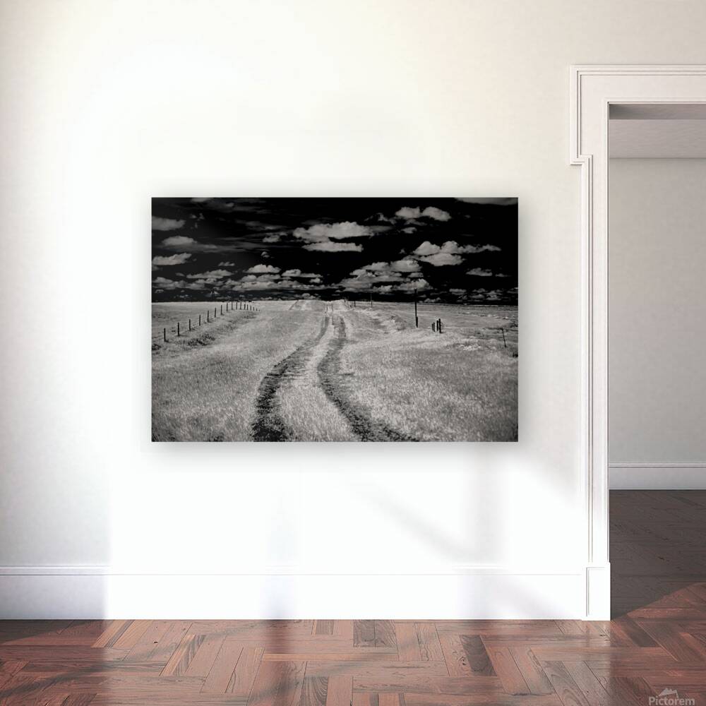 Prairies Eternal Path Reproduction